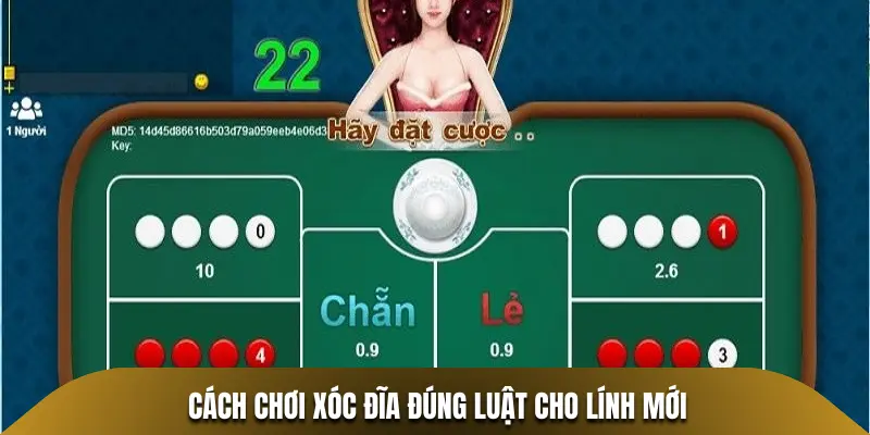 Cách chơi Xóc Đĩa đúng luật cho lính mới