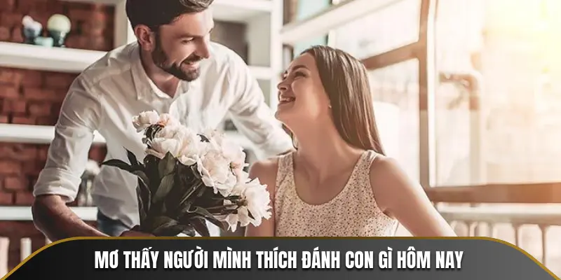 Mơ thấy người mình thích đánh con gì hôm nay